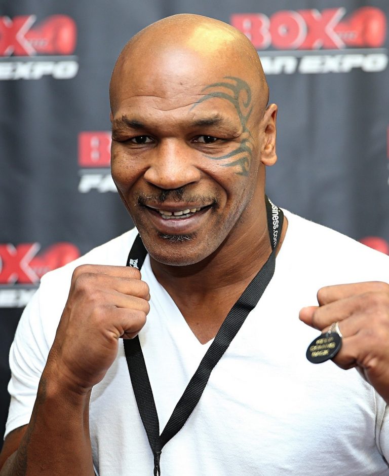 Mike Tyson Net Worth And Assets Celebrity Net Worth