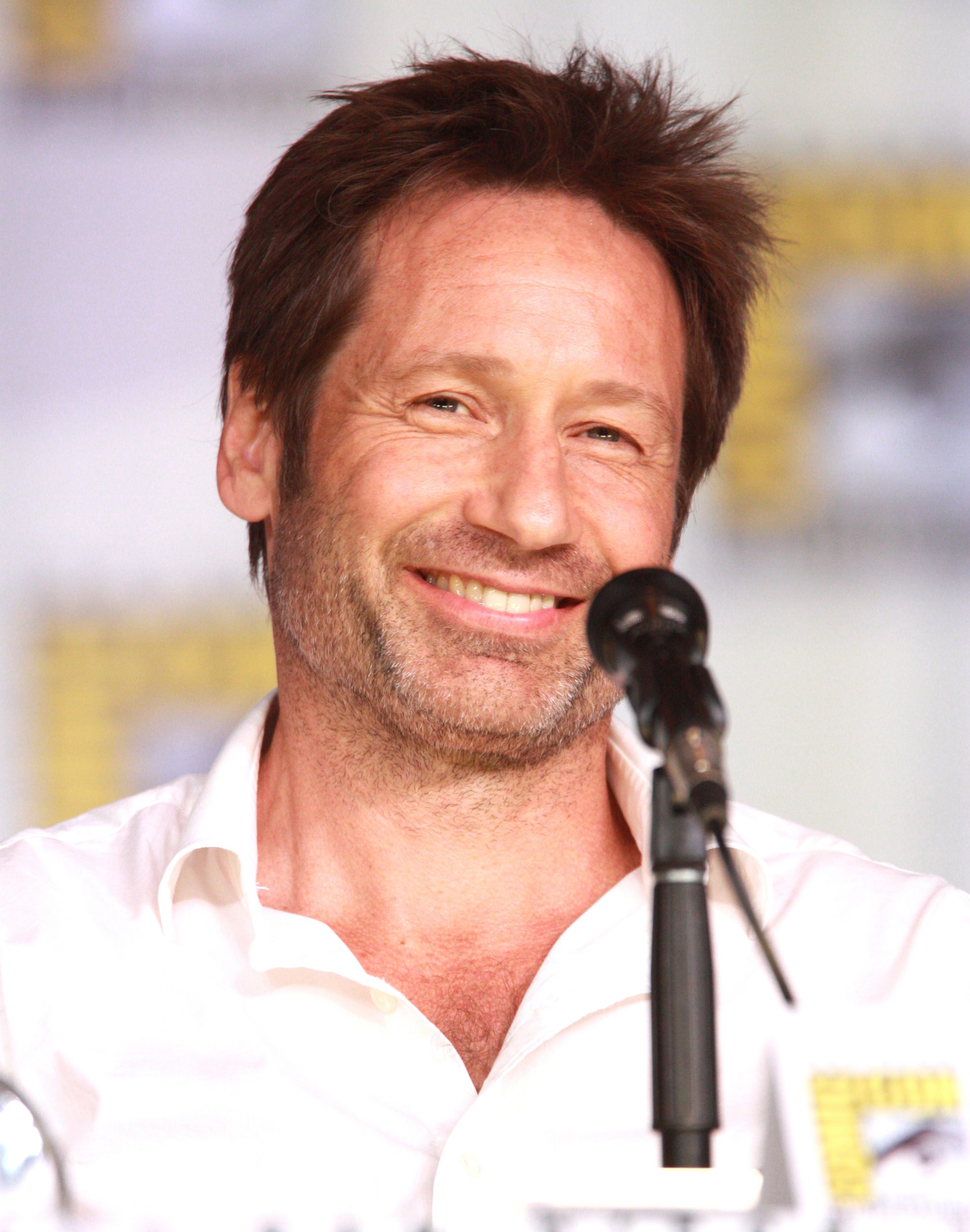 David Duchovny Net Worth Net Worth Lists