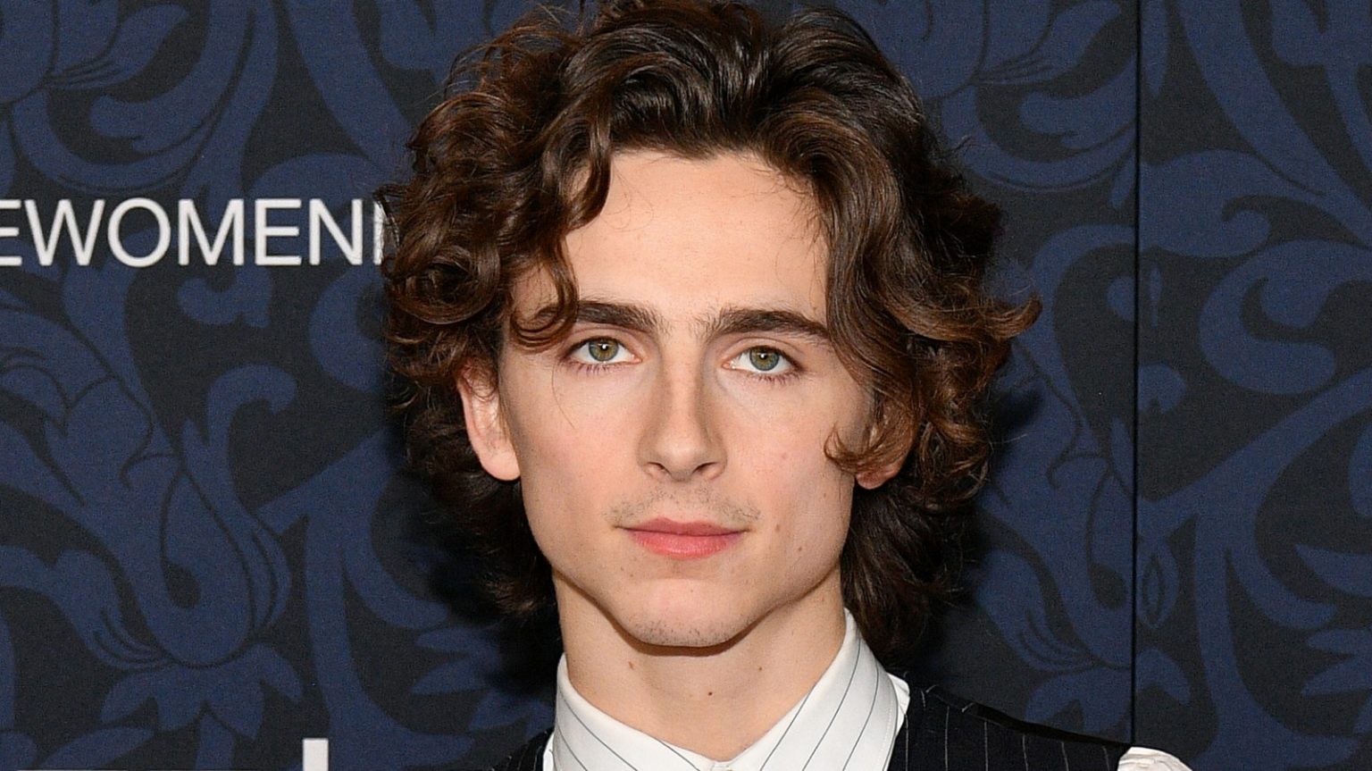 Timothée Chalamet Net Worth Net Worth Lists